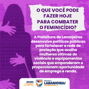 PREF-LARANJEIRAS_CONTRA-FEMINICIDIO_MED300X300PX_FULLBANNER.jpg